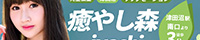 癒やし森（津田沼）