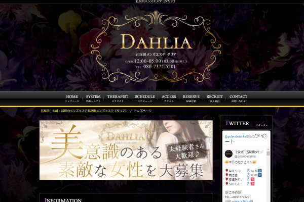 DAHLIA(ダリア)五反田ルーム