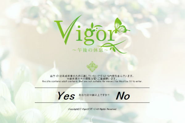 熊本 Vigor(ビガー)